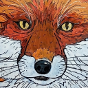 avatar Vulpes vulpes