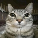 milesgilsager member profile picture