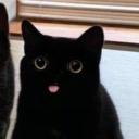 just.kitty.meow