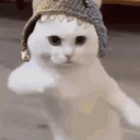 piepimalmal