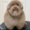 Аватар rik1249