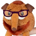 jeeringsole