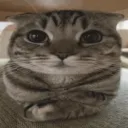 markkwtf