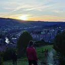 martinviei