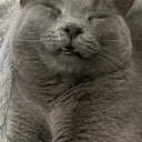 sherlockreissack#5835's avatar