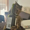 prekrasnooo