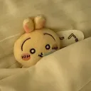 kaii24