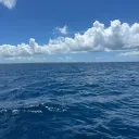 theoceanlinerexpert