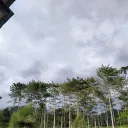 dxxxaa