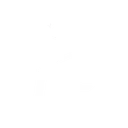 camror