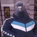 Discord Avatar