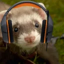 thatgamingferret0923
