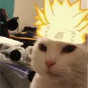 yovngs4nti