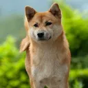 wenakita