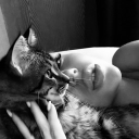 avatar 𝓝𝓲𝓾𝓣𝓲𝓹𝓸♡