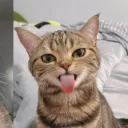 maximolds