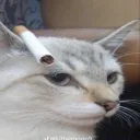 melllzzy