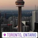 lilfno12904590 avatar