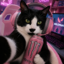 avatar 𝓃𝒶𝒿𝒾𝒽𝒶𝒽