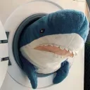 sharkshan2376