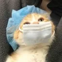 mnoriio