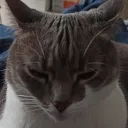 Аватар wempllix