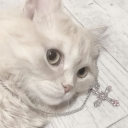 avatar Lalush ʚ♡ɞ