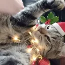 cewkielover