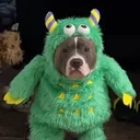 santr1xs