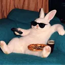 bdarkbr
