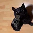 daniel_frozzen
