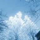 harvey.odt