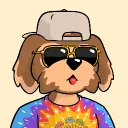 cryptogypsy