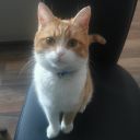 avatar Sleeping Beauty