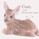 avatar Кроссдрейсерша