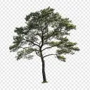 green_stanley