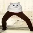 monke3485181