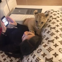 avatar Konuya Italian