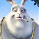 biberqwer