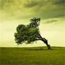 windyswag