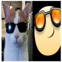 pawix25