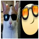 pawix25