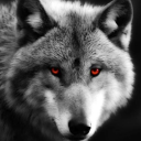vicous_wolf