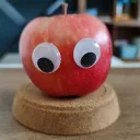 shacboi