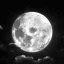 avatar 𝐊𝐍𝐀𝐍