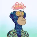 lordquams0095