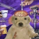 avatar Bola estúpida ordinaria ;)