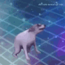xyro