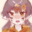 sh4rk_cheese