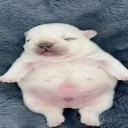 avatar ! 𝕰𝖑𝖎𝖆𝖘